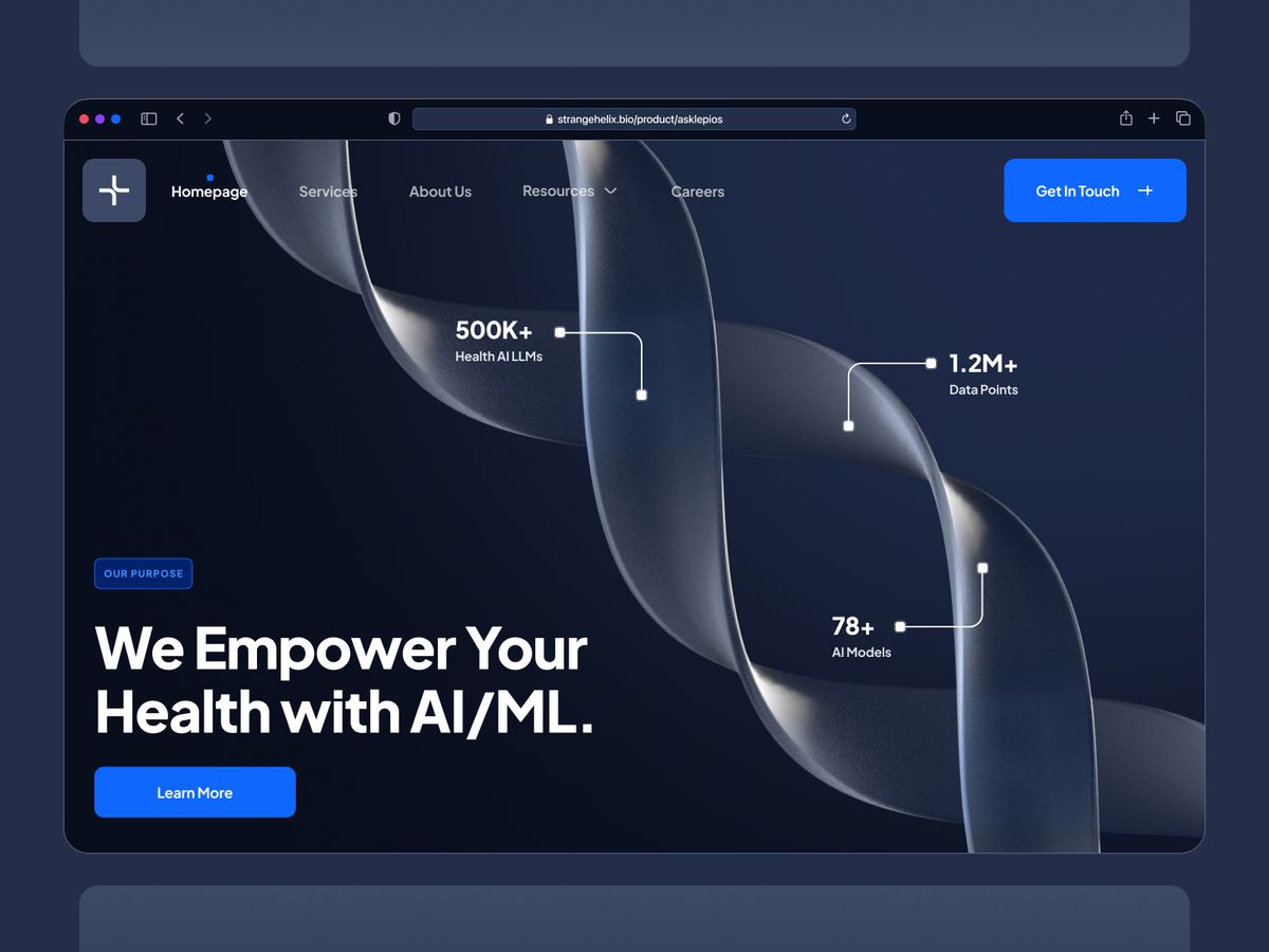 Website project showcase